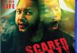 Get Ready To Get ‘SCARED CRAZY’ From Bayview Entertainment